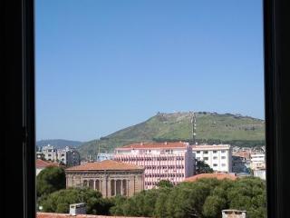 Anil